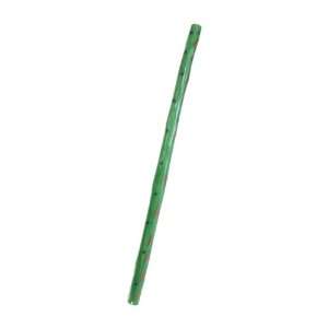  Rain Stick, Brazilian, Green Musical Instruments