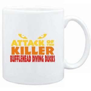 Mug White  Attack of the killer Bufflehead Diving Ducks  Animals 