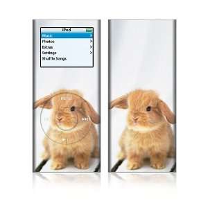 Sweetness Rabbit Decorative Skin Decal Sticker for Apple iPod Nano 2G 
