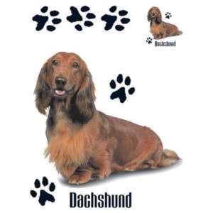 LONG HAIR DACHSHUND & PAWS PROFILE DOG T SHIRT S 3X  