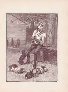 PIT BULL TERRIER DOG BOY & LOP EARED RABBITS PRINT 1893  