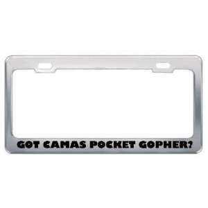 Got Camas Pocket Gopher? Animals Pets Metal License Plate Frame Holder 
