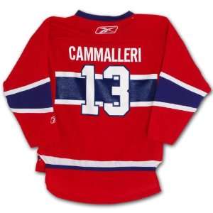 Mike Cammalleri Montreal Canadiens Reebok Child Replica (4 6X) Home 