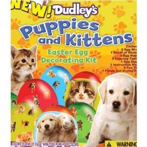  Dudleys Puppies & Kittens Easter Egg Coloring Kit Toys & Games