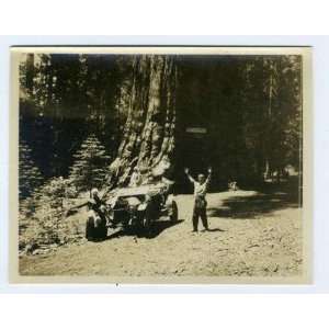  Old Car at General Sherman Tree Photograph July 1914 