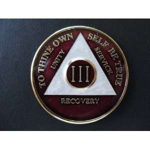  38 YEAR   THE Burundy & Silver AA Recovery Medallion / AA Coin 