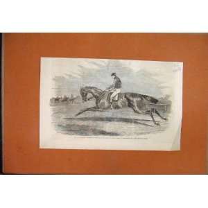   1857 Nichols Newminster Horse Doncaster St Leger Print