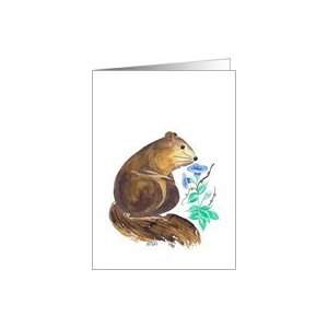  Snazy Silvester Squirrel Card Toys & Games