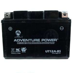 Champion T12A BS Replacement Battery Electronics