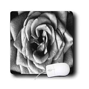   Designs Flowers   Rose Charcoal Drawing   Mouse Pads Electronics