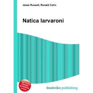  Natica larvaroni Ronald Cohn Jesse Russell Books