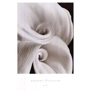  Sondra Wampler Fleur No. 1 24.00 x 36.00 Poster Print 