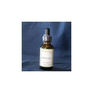  Sweet Cicely Tincture   1oz