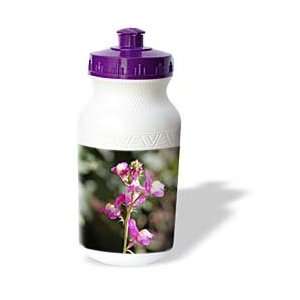     Pink Snapdragon Flower   Water Bottles