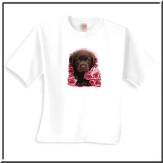 Georgie Chocolate Lab Retriever Puppy Dog T Shirt 4X,5X  