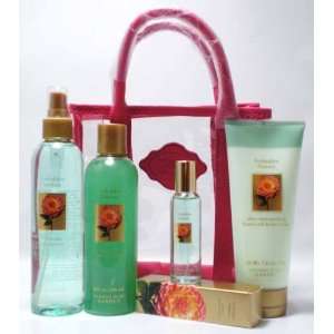   Body Splash/ Hand Body Cream/ Shower Gel and Tote Bag   5 Pcs Gift SET