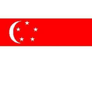  Singapore Flag 2ft x 3ft Patio, Lawn & Garden