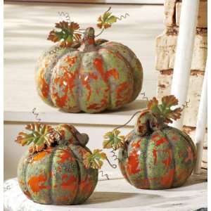   Harvest Decorative Pumpkin By Collections Etc Patio, Lawn & Garden