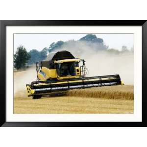  Yellow New Holland Combine Harvester Harvesting Wheat 