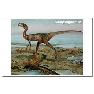  Compsognathus Dinosaur Animals Mini Poster Print by 