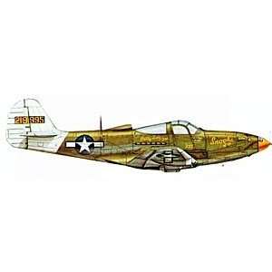    Easymodel P39 Lt Col William Shomo Trg 1944 1/72 Toys & Games