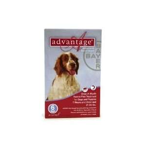  Advantage II for Dogs (Red), 21 55 lbs, 12 month Pet 