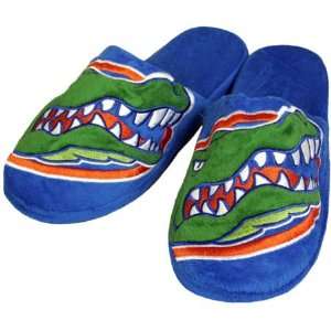   Gators 2010 Official NCAA Big Logo Hard Sole Plush Slippers Size Small