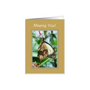 Missing You   Swallowtail Butterfly Card