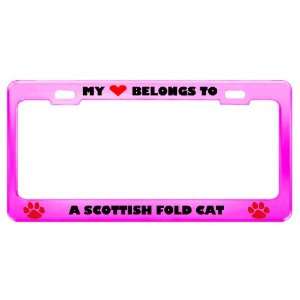  A Scottish Fold Cat Pet Pink Metal License Plate Frame Tag 