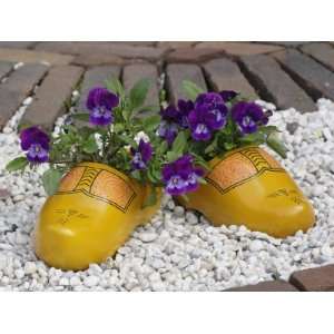  Wooden shoes in front of home, Zaanse Schans, Holland 