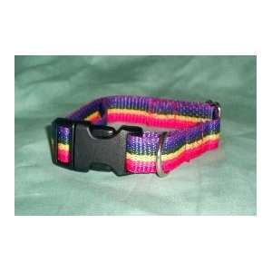  Rainbow Nylon Dog Collar    19 29