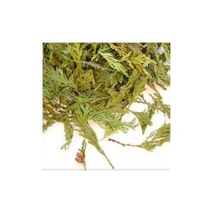   Tips Green   1 lb,(San Francisco Herb Co)