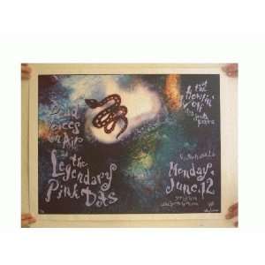  Dead Voices On Air Legendary Pink Dots Poster The 