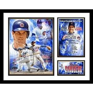   Cubs MLB Framed Photograph Career Milestone Collage