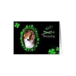  St Patricks Greeting Card   (Irish) Shetland Sheepdog 