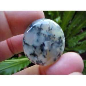  Zs5309 Gemqz Dendritic Tree Agate Loose Oval Cabochon 