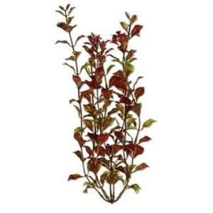  Tetra Water Wonders 6 Inch Rotala Plant