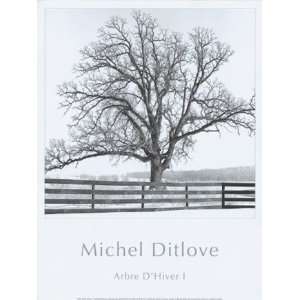  Arbres DHivers I   Poster by Michel Ditlove (11.75x15.75 