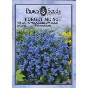  Forget Me Not, Cynoglossum Blue Patio, Lawn & Garden