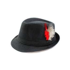  Fedora Hat Features Stunning Feather Design in Black for Men 