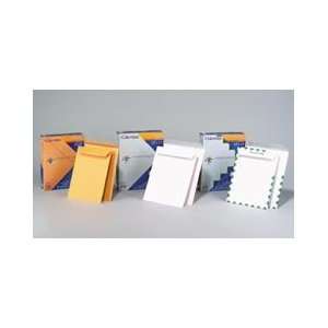  Self Seal Catalog Envelopes, 28lb, Brown Kraft, 10 X 15 