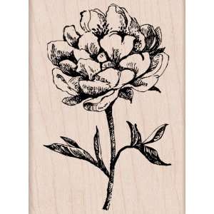  Hero Arts Woodblock Stamp, Classic Tea Flower Arts 