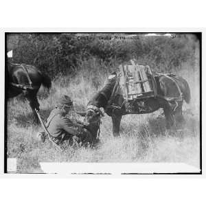  Pony carrying Fr. Mitrailleuse