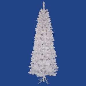  Christmas Tree   White Salem Pencil Pine   A103266