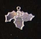 50 Sterling Plated Christmas Holly Berry Charms SS202