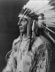 NATIVE AMERICAN INDIAN CHIEF WHITE SHIELD ARIKARA 1905 PHOTO WESTERN 