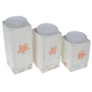   Starfish Inlaid Iron and Wood Candle Holder (Set of 3)