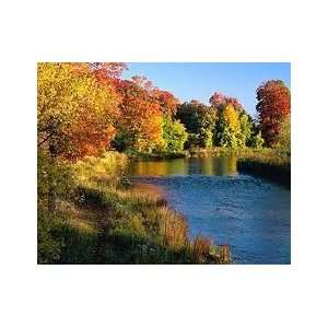  Fragrance Oil Indian Summer (1/2oz) 