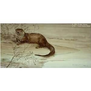    Thomas Quinn   American River Otter With Wild Rose