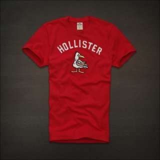NWT Hollister Men Leucadia GraphicTee T Shirt Top  